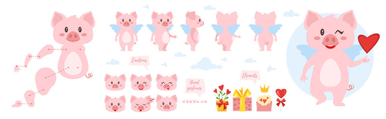 Wall Mural - pig character for animation