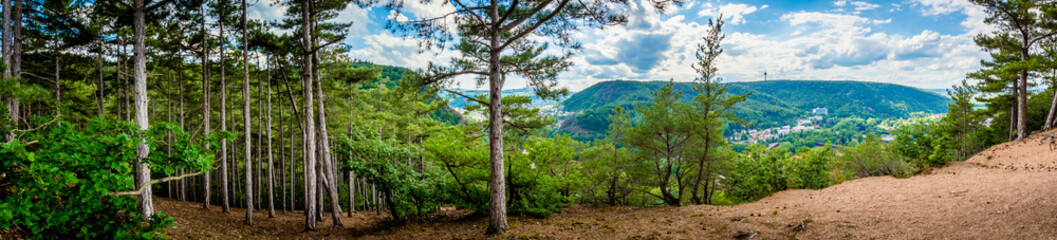 Canvas Print - Bad Kreuznac - Germany