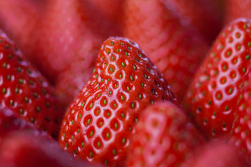 Wall Mural - Lots of strawberries in a tray, selective focus