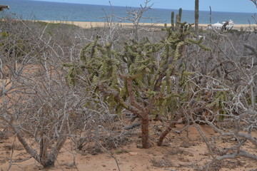 Beautiful scenery in beautiful Mexico. Travels. recreation