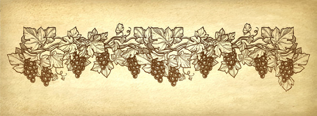 Canvas Print - hand drawn vector illustration of grapes.