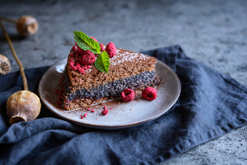Wall Mural - Cacao sponge cake with poppy seeds and coconut filling, decorated with freeze - dried raspberries