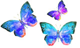 Fototapeta Motyle - beautiful butterflies, watercolor, isolated on a white