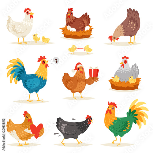 Chicken Vector Cartoon Chick Character Hen And Rooster In Love With