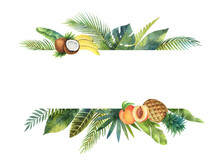 Watercolor Vector Banner Tropical Leaves And Fruits Isolated On White Background.