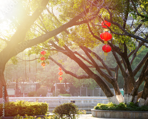 Red Chinese Lanterns Hang On Tree Branches In City Park