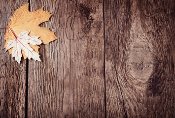  autumn leaves on wooden background