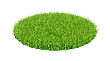 Wall Mural - 3D rendering Green grass circle field isolated on white background