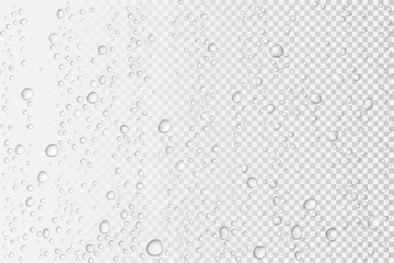 Vector Water drops on glass. Rain drops on transparent background