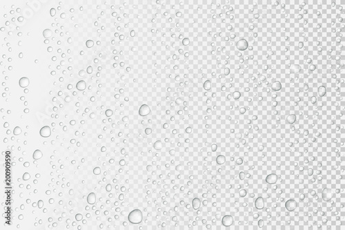 Fotomural Vector Water drops on glass. Rain drops on transparent background