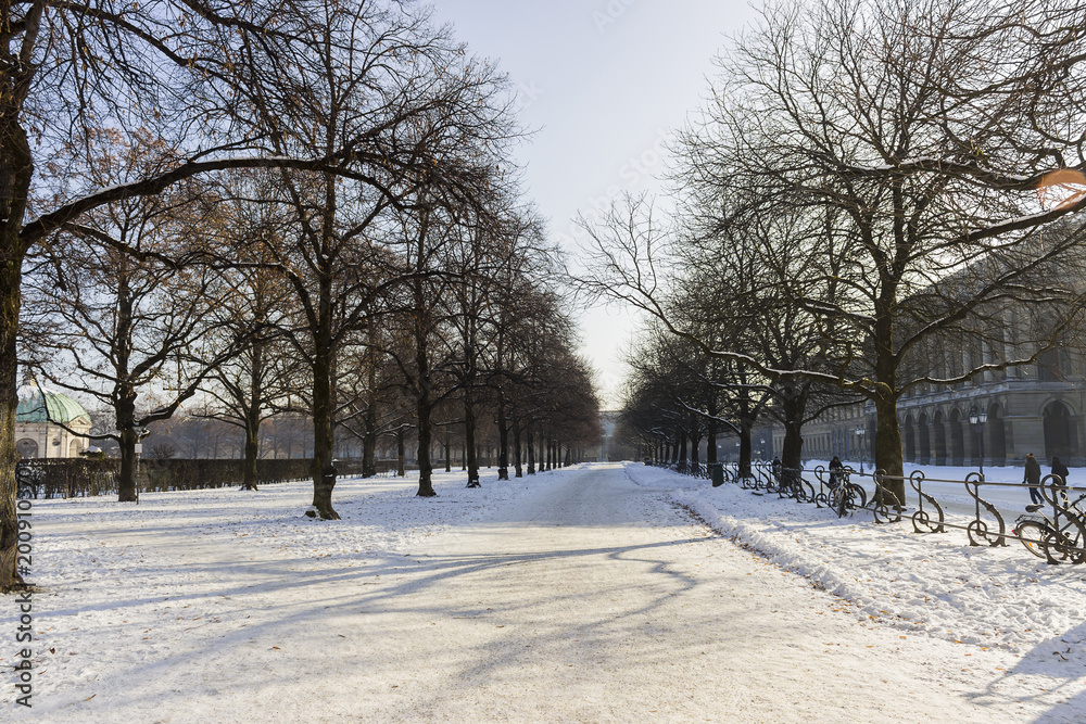 Snowy Pathway in Munich with trees - obrazy, fototapety, plakaty 