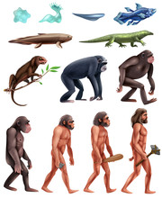 Darwin Evolution Icon Set