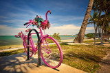 Fototapeta Niebo - Summer Fun at Sarasota Florida Park with Pink Bicycle