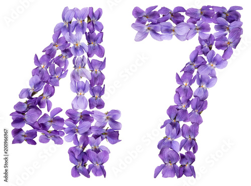Poster Arabic numeral 47, forty seven, from flowers of viola, isolated on white backgro