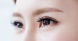 close up woman eye
