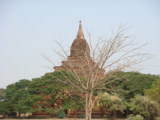 Myanmar / Burma