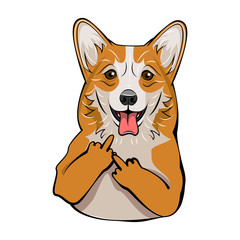 Welsh Corgi. Middle finger gesture. Dog breed portrait. Vector.