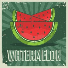 Watermelon Vintage Retro Signage Vector