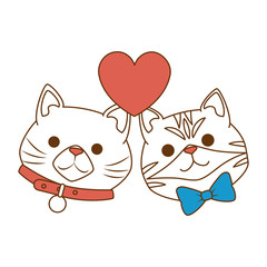 Poster - cute cats mascots head with hearts characters vector illustration design