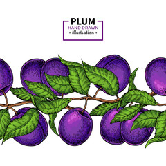 Canvas Print - Plum branch seamless  border. Hand drawn isolated fruit.