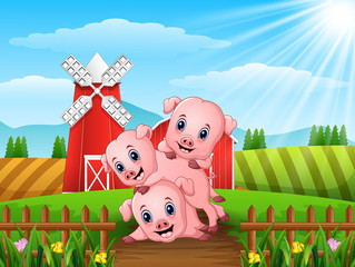 Sticker - Three little pigs playing at farm