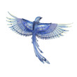 Blue jay bird flying. Watercolor hand drawn illustration. Blue feathers cute bird character.