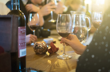 Woman holding glass of red wine. Party in the bar.