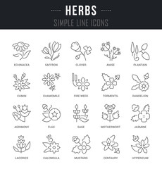 Sticker - Set Vector Line Icons of Herbs.