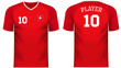 Switzerland Fan sports tee shirt in generic country colors