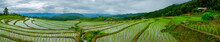 Ban Papongpieng Rice Terraces, Chiang Mai, North Of Thailand
