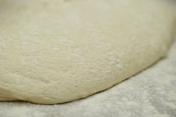 Wall Mural - Fresh bread dough 