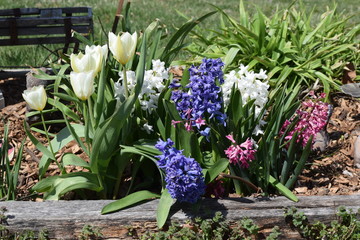 Sticker - Spring Flowers