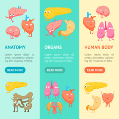 Canvas Print - Cartoon Internal Organs Funny Emotions Banner Vecrtical Set. Vector