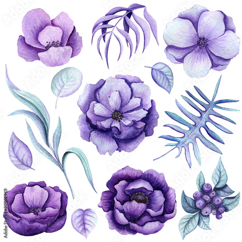 zestaw-botaniczny-akwarela-fioletowe-kwiaty