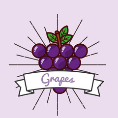 Sticker - grapes fruit organic vitamins emblem vector illustration