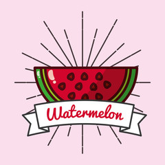 Poster - slice watermelon fruit organic vitamins emblem vector illustration