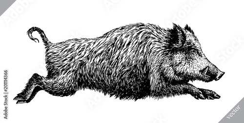 Cuadros en Lienzo black and white engrave isolated pig vector illustration