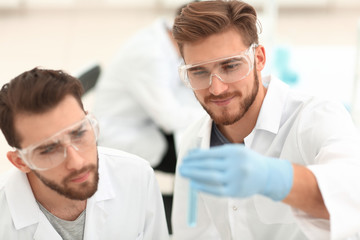 Wall Mural - two scientists examining liquid in a test tube