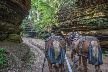 Sticker - The Lost Canyon is a Hidden Gem of the Wisconsin Dells with Horse Rides through a Scenic Gorge