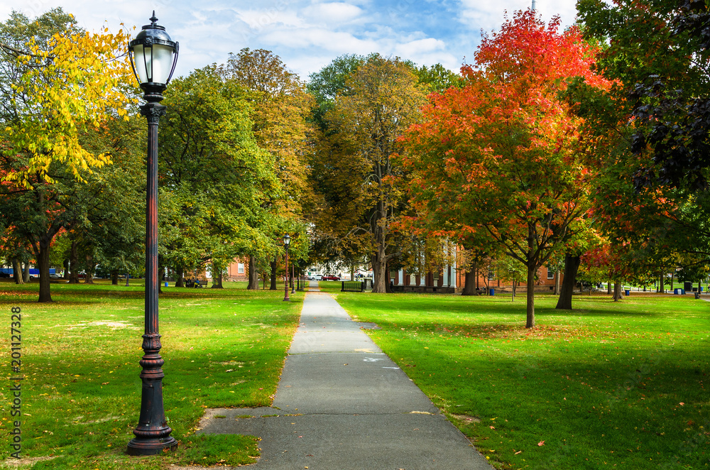 Empty Path Lined with Old Fashioned Street Lights and Colourful Autumn Trees in a Public Park on a Sunny Day - obrazy, fototapety, plakaty 