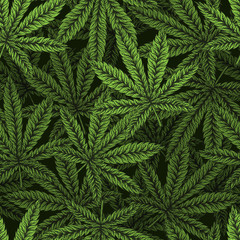 Marijuana leaves seamless pattern.