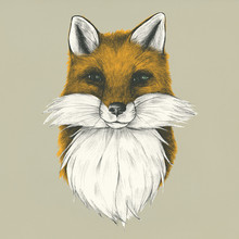 Hand Drawn Fox Isolated On Background