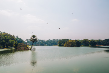 Wall Mural - Lalbagh Botanical Garden in Bangalore, India