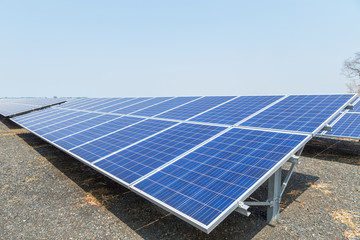 Wall Mural - close up rows array of polycrystalline silicon solar cells or photovoltaics in solar power plant alt
