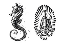 Seahorse And Fish