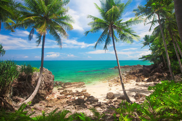 Wall Mural - tropical beach, koh lanta, krabi, thailand