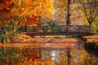 Wooden bridge in bushy park with autumn scene