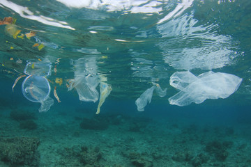 Poster - Plastic pollution in ocean