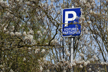 Poster - voiture partagee auto ecologie pollution co carbone kilometre mobilite parking vert printemps soleil