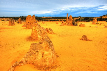 Wall Mural - The Pinnacles Desert, Australia